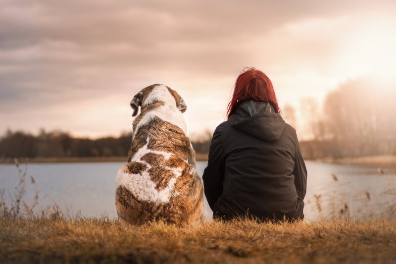 Best friends looking out over the lake (picture taken with Nikon D7200 and Nikon AF-S 50mm F1.8 G)